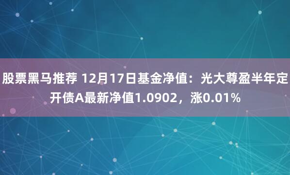 股票黑马推荐 12月17日基金净值：光大尊盈半年定开债A最新净值1.0902，涨0.01%