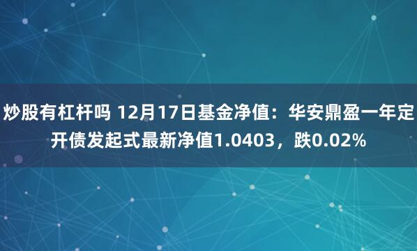 炒股有杠杆吗 12月17日基金净值：华安鼎盈一年定开债发起式最新净值1.0403，跌0.02%