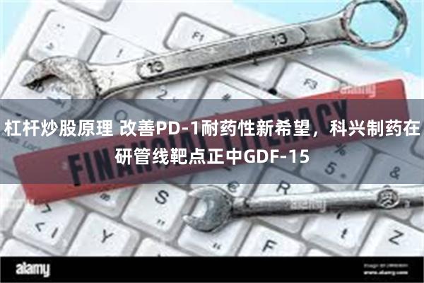 杠杆炒股原理 改善PD-1耐药性新希望，科兴制药在研管线靶点正中GDF-15