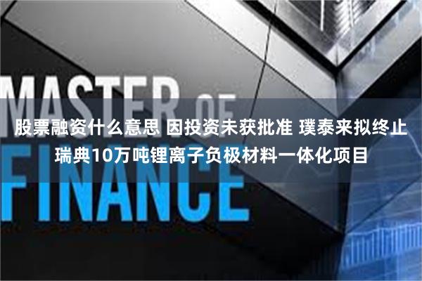 股票融资什么意思 因投资未获批准 璞泰来拟终止瑞典10万吨锂离子负极材料一体化项目