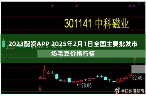 2023配资APP 2025年2月1日全国主要批发市场毛豆价格行情