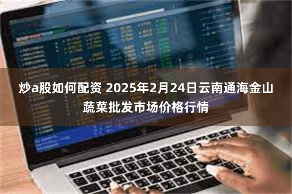 炒a股如何配资 2025年2月24日云南通海金山蔬菜批发市场价格行情