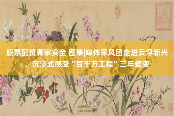 股票配资哪家安全 图集|媒体采风团走进云浮新兴，沉浸式感受“百千万工程”三年蝶变
